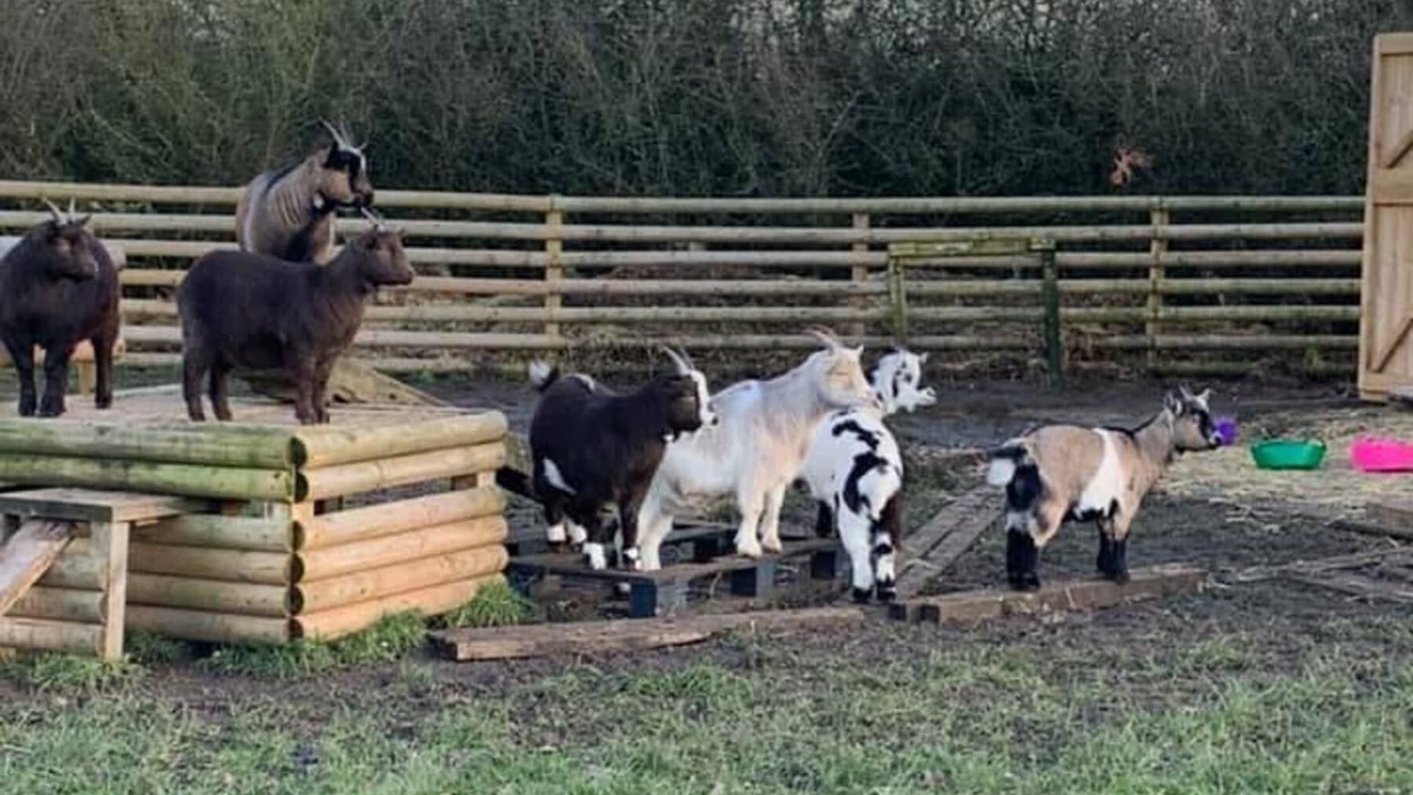 Photo of Others in Wrexham