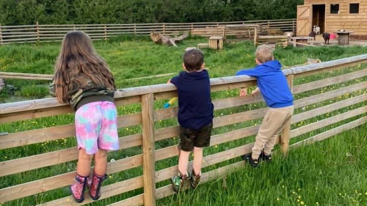 Photo of Others in Wrexham