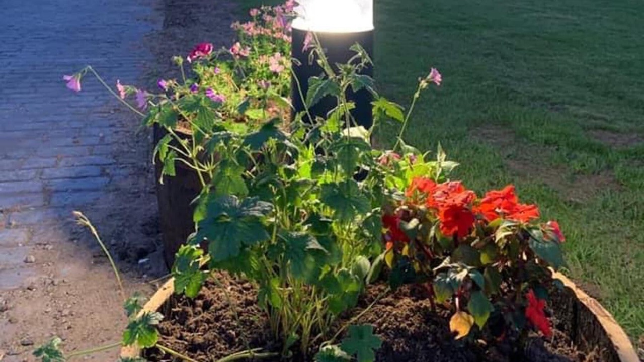 Photo of Others in Wrexham