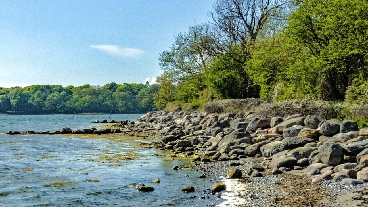 Photo of Others in Nysted