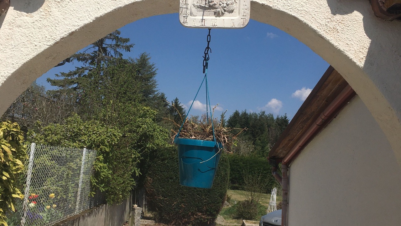 Photo of Outdoor in Les Forges