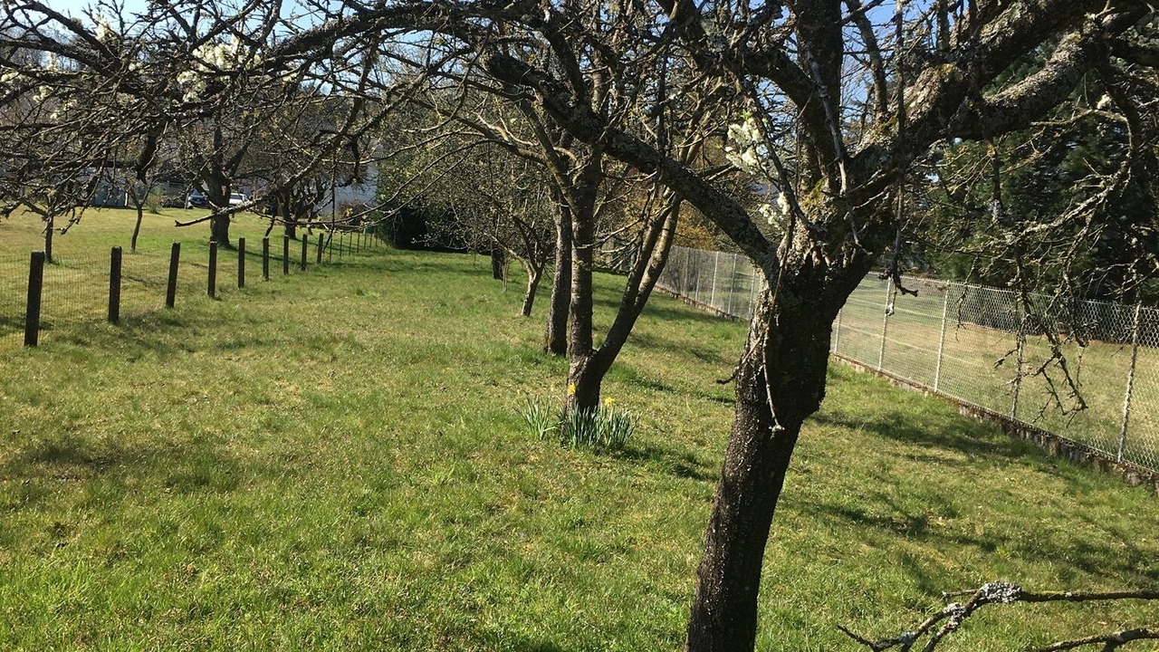 Photo of Others in Les Forges