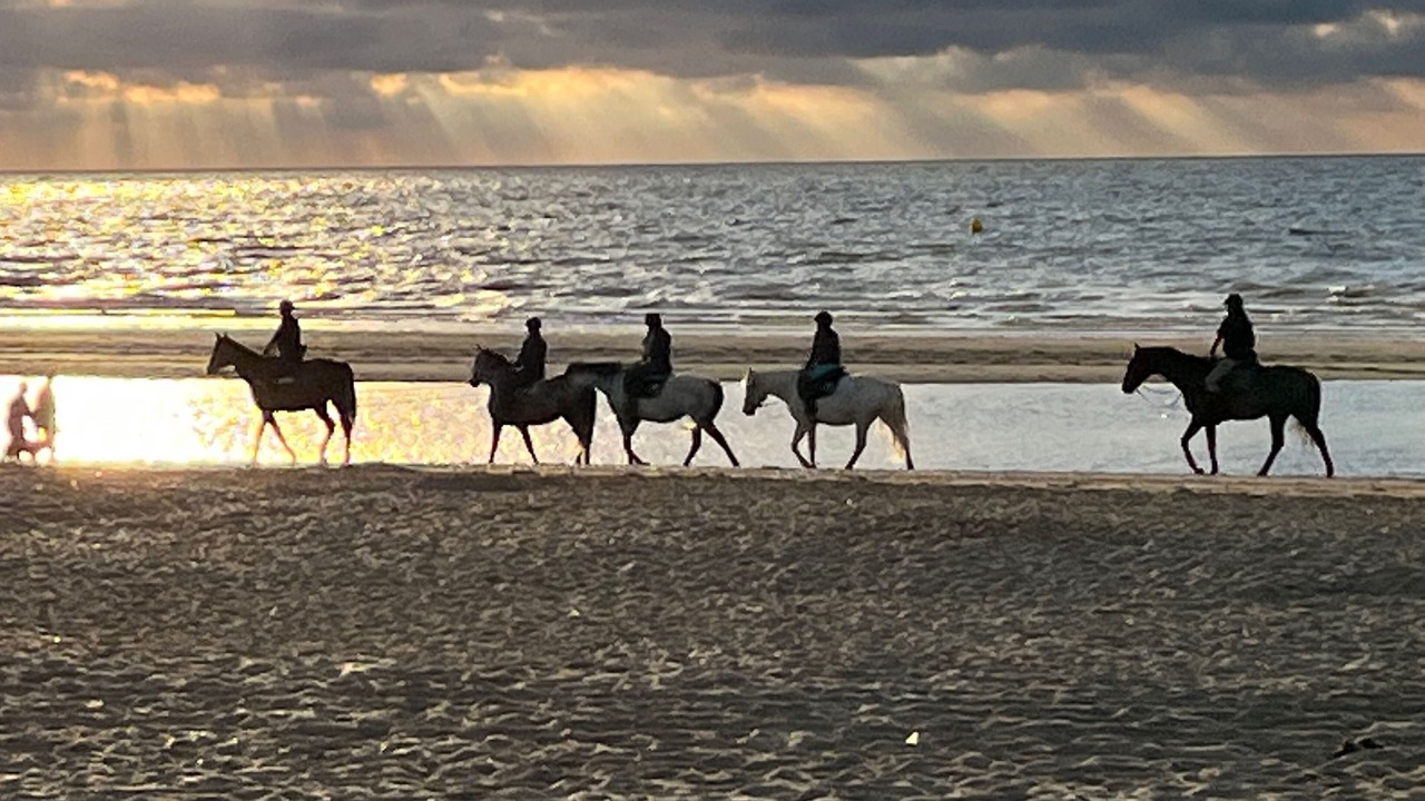 Photo of Others in Saint-Andre-d'Hebertot