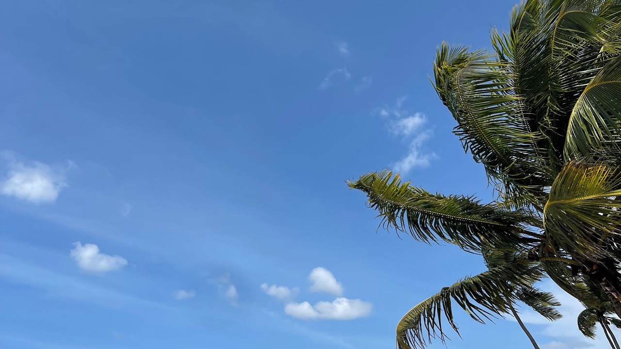 Photo of Others in La Ceiba