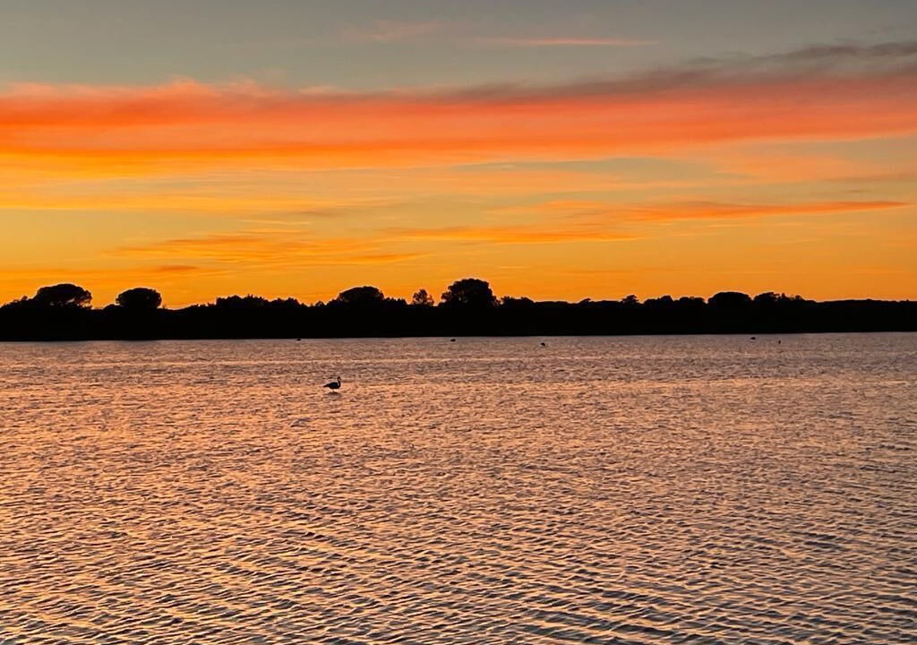 Photo of Others in Saintes-Maries-de-la-Mer