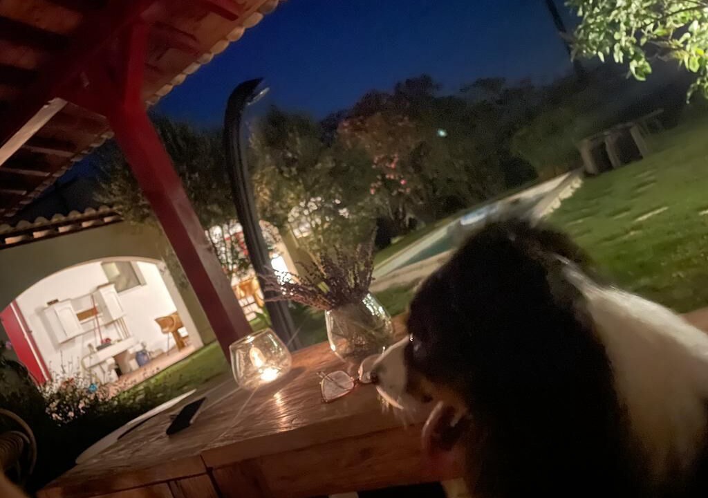 Photo of Outdoor in Saintes-Maries-de-la-Mer