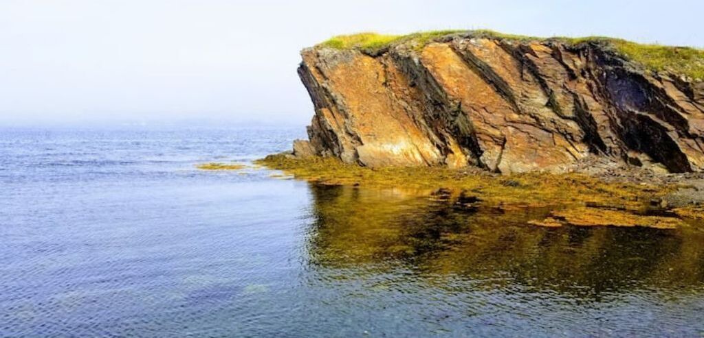Photo of Outdoor in Terra Nova