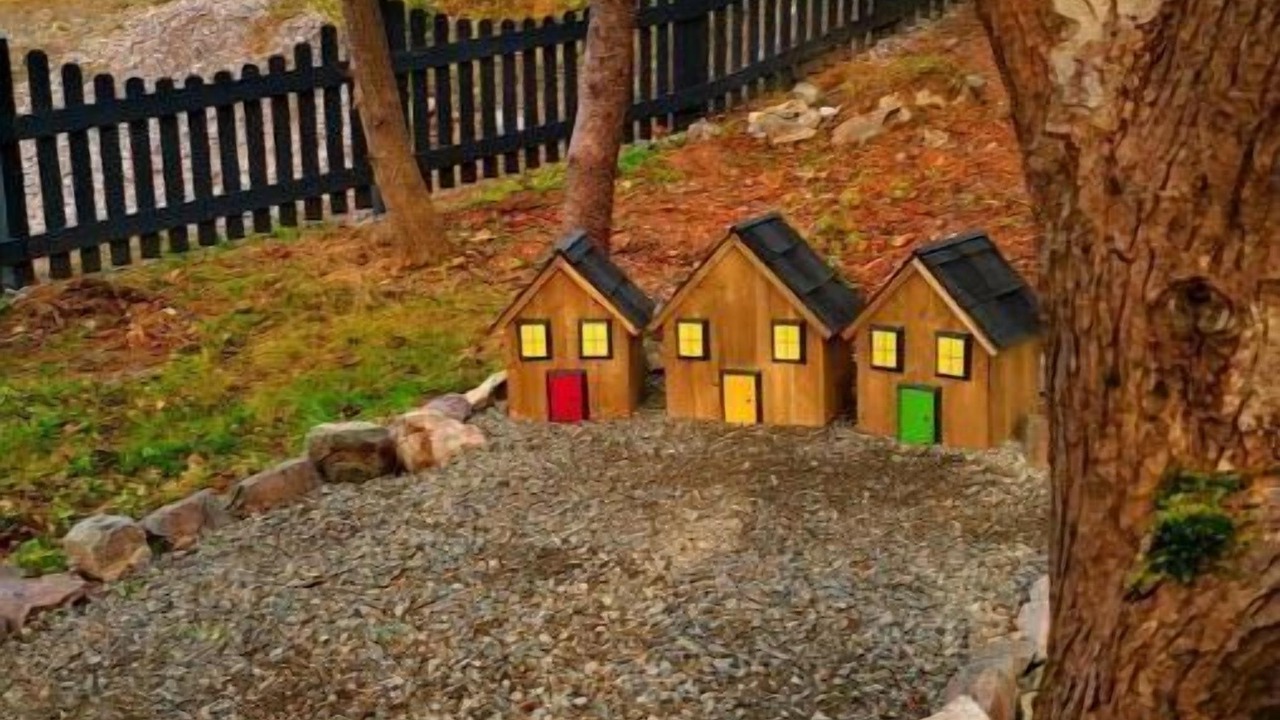 Photo of Outdoor in Terra Nova