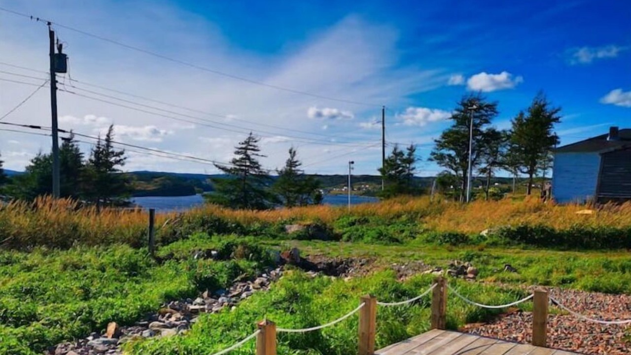 Photo of Outdoor in Terra Nova