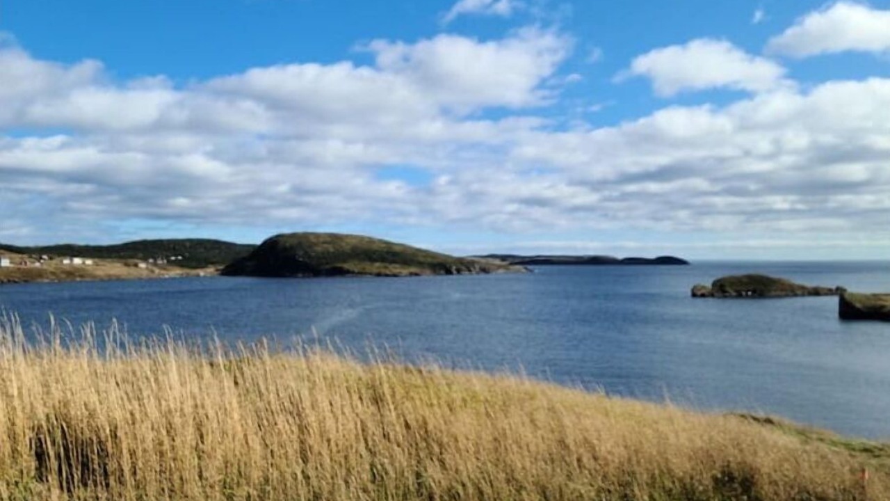 Photo of Others in Terra Nova