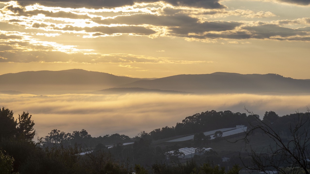 Photo of Others in Silvan