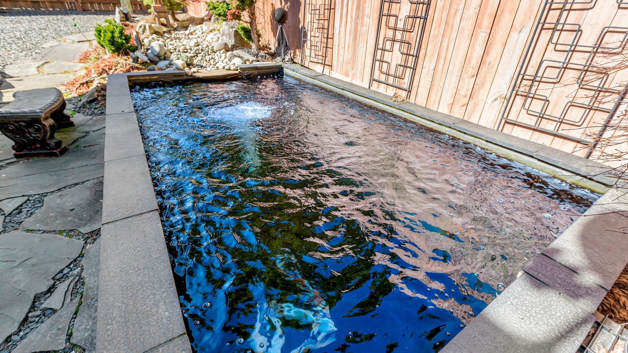 Photo of Outdoor in Sedro-Woolley