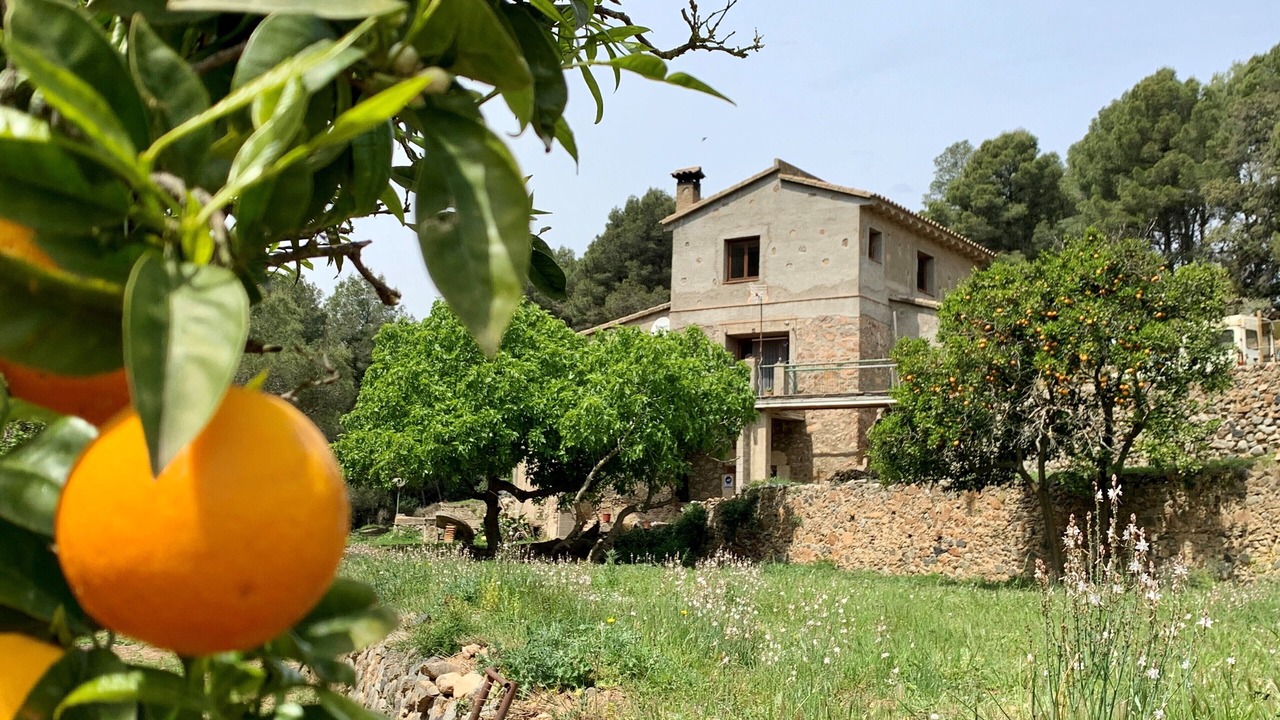 Photo of Outdoor in Mont-roig del Camp