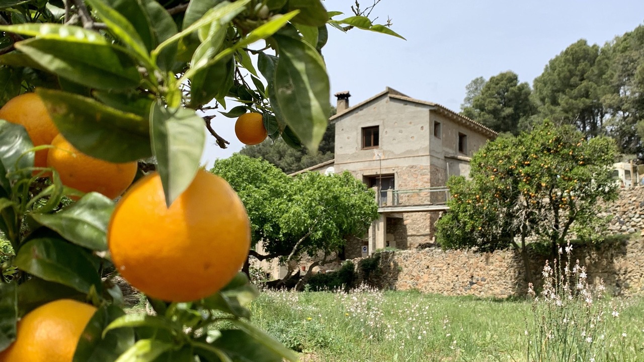 Photo of Outdoor in Mont-roig del Camp