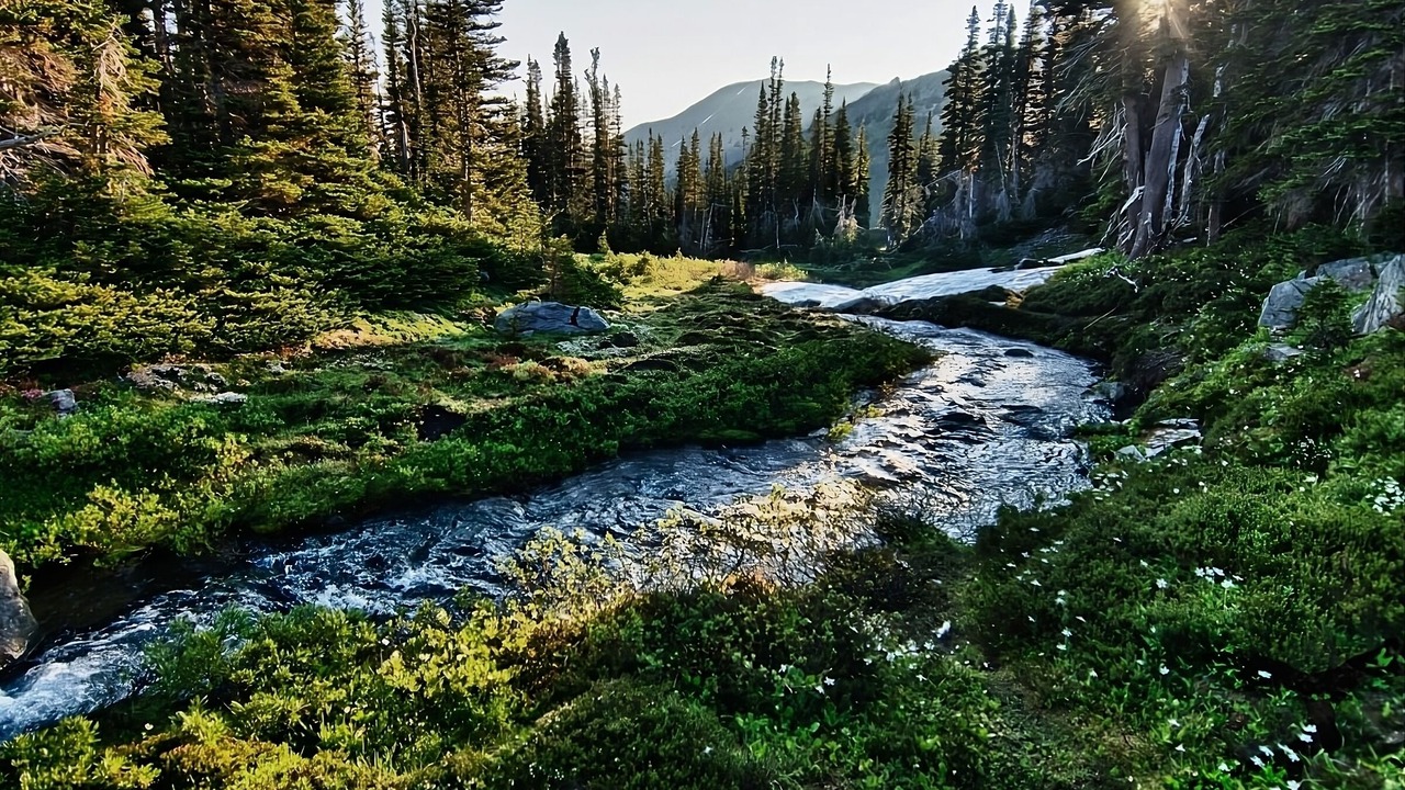 Photo of Others in Poulsbo