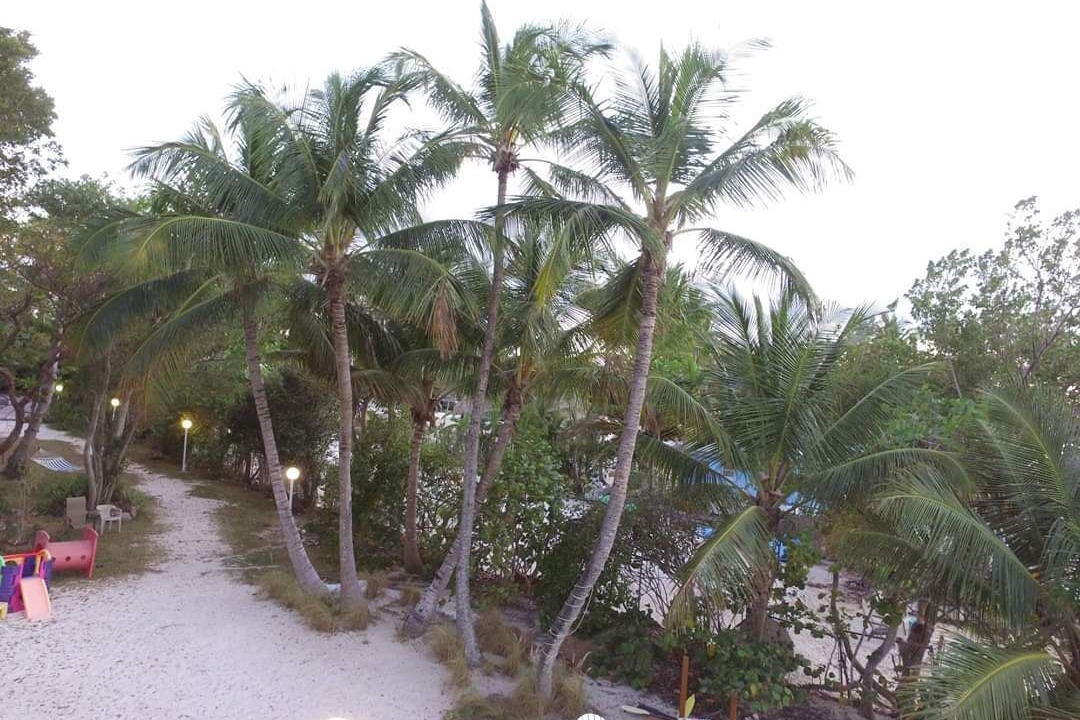 Photo of Outdoor in Key Largo