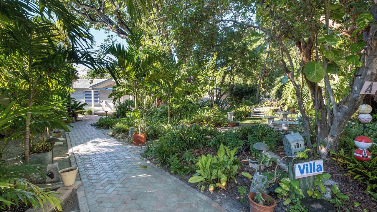 Photo of Outdoor in Key Largo