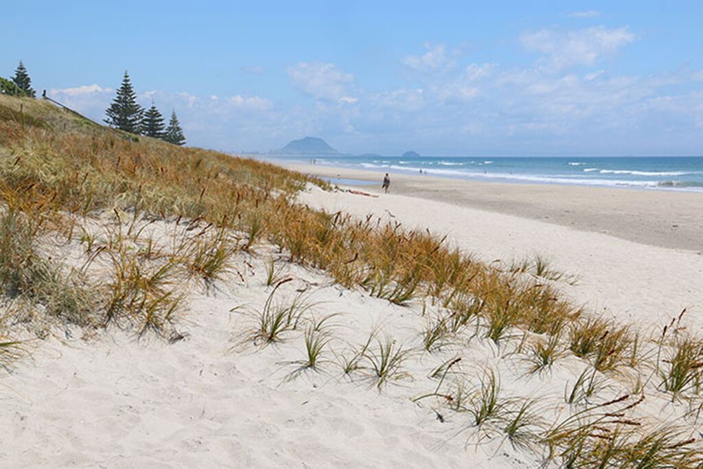 Photo of Others in Welcome Bay