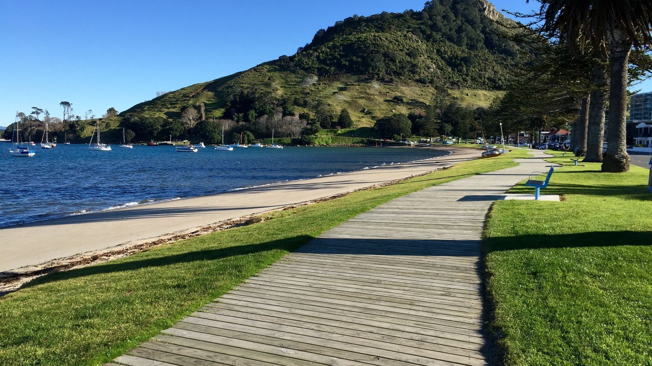 Photo of Others in Welcome Bay