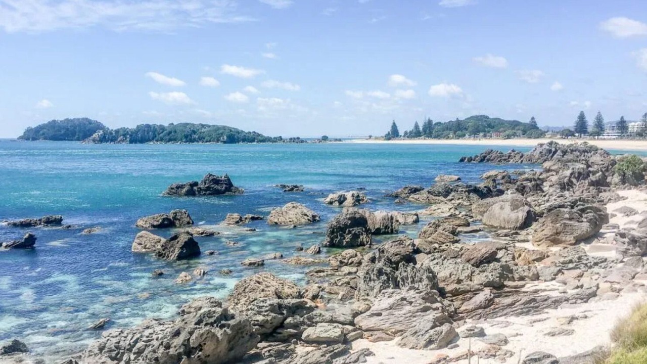 Photo of Others in Welcome Bay