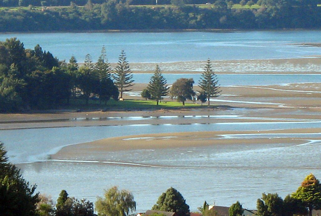 Photo of Others in Welcome Bay