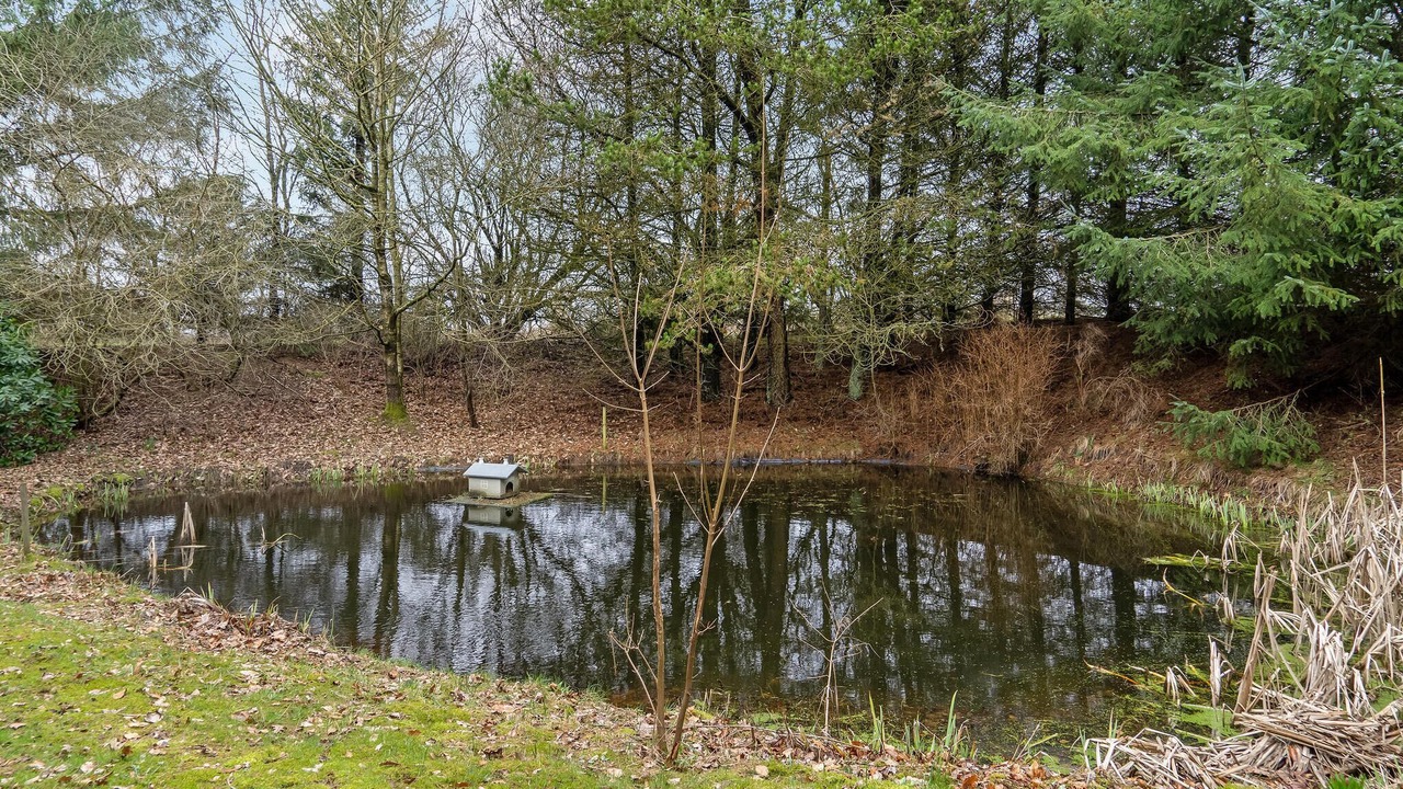 Photo of Others in Hejnsvig