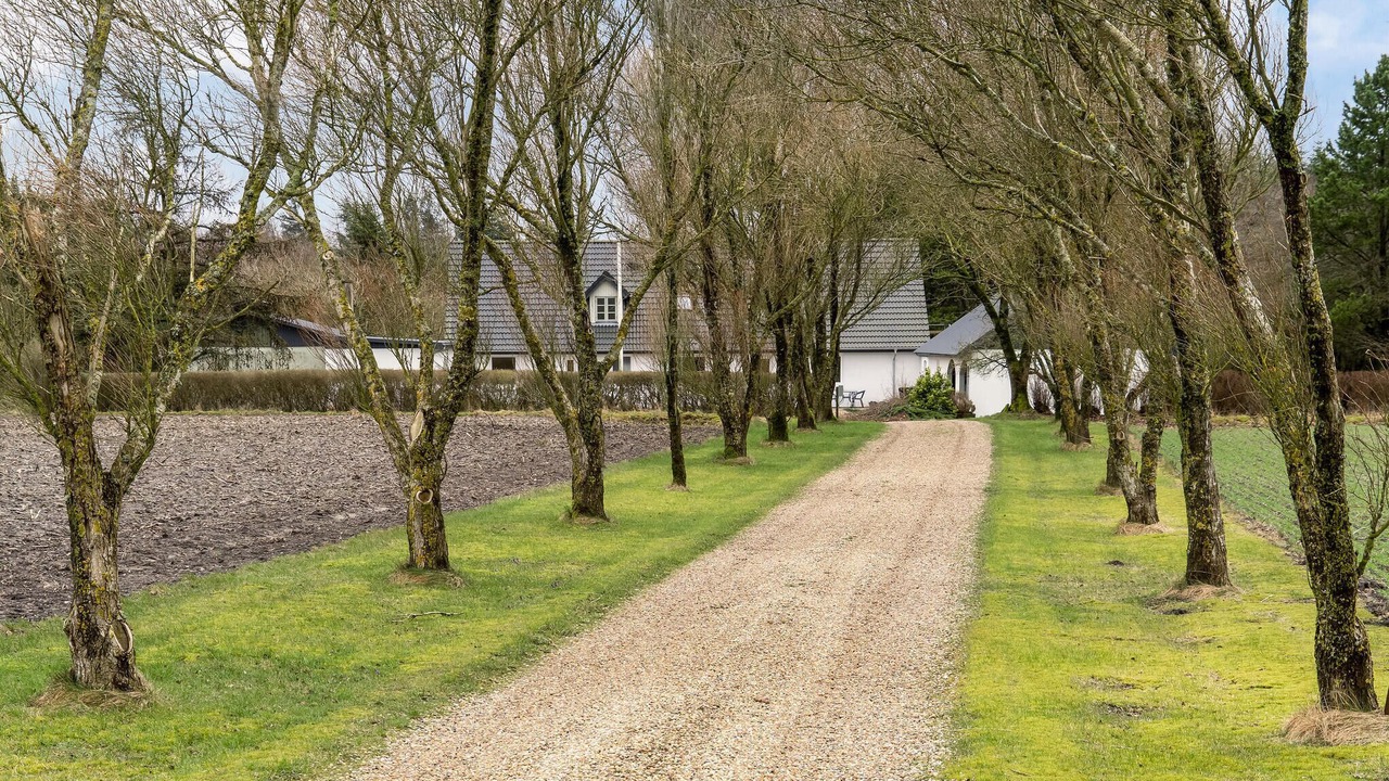 Photo of Others in Hejnsvig