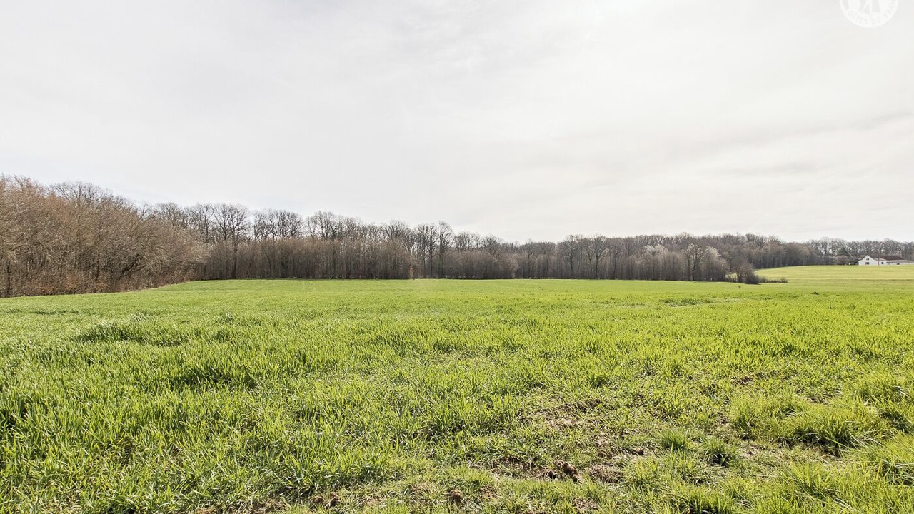 Photo of Others in Sornay