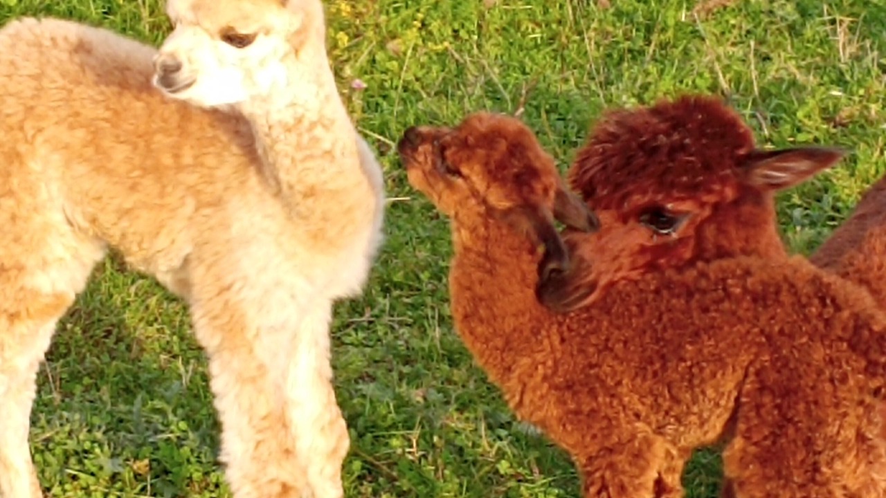 Photo of Outdoor in Fain-les-Moutiers