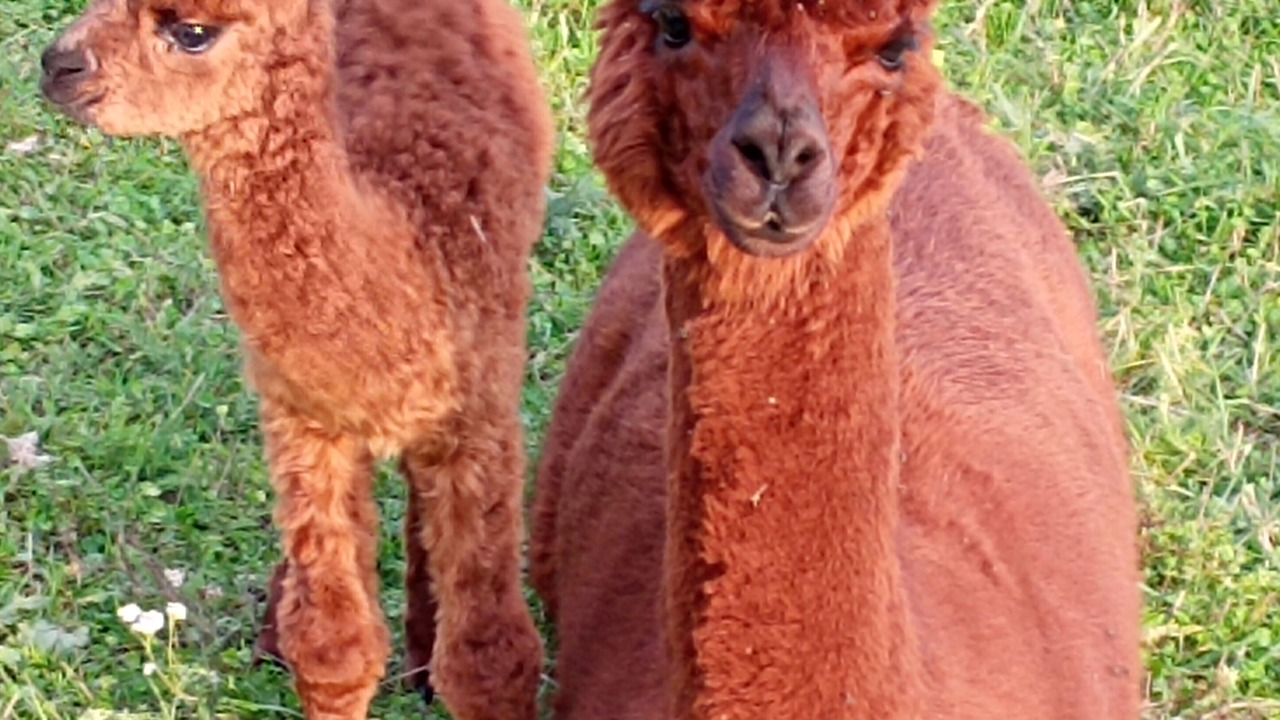 Photo of Outdoor in Fain-les-Moutiers