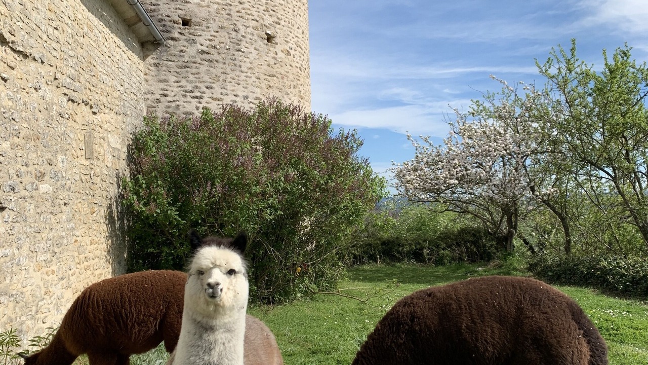Photo of Outdoor in Fain-les-Moutiers