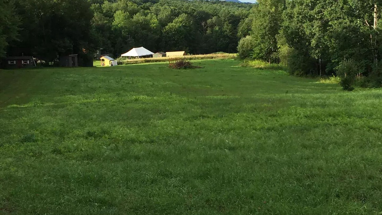 Photo of Others in Wells