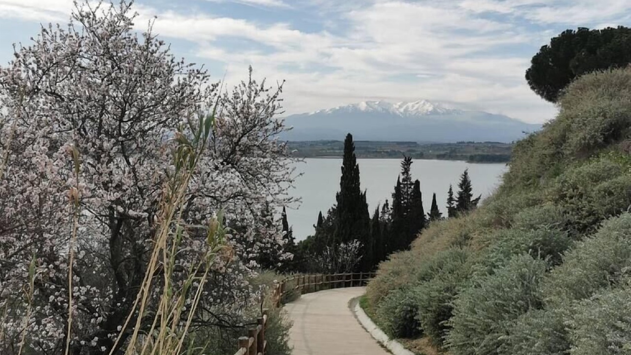 Photo of Outdoor in Villeneuve-de-la-Raho