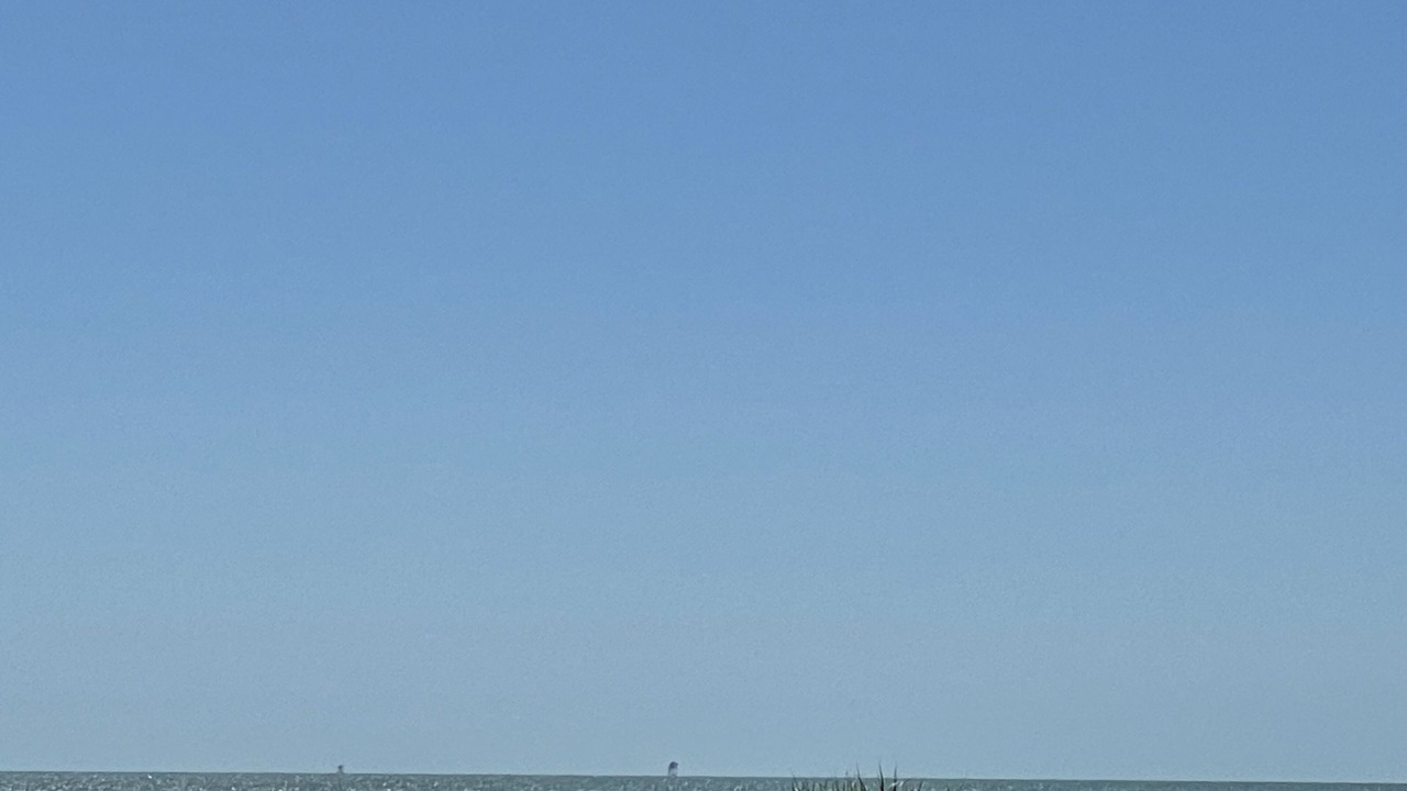 Photo of Others in Sand Point