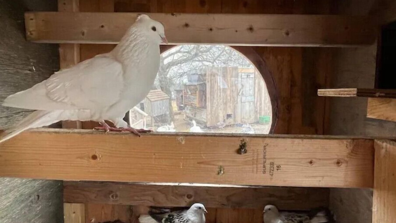 Photo of Others in Hamilton