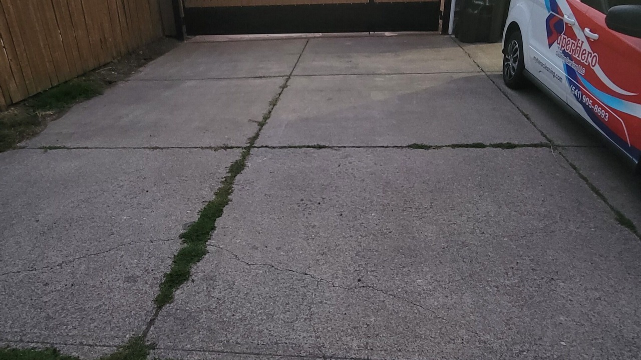 Photo of Others in Albany