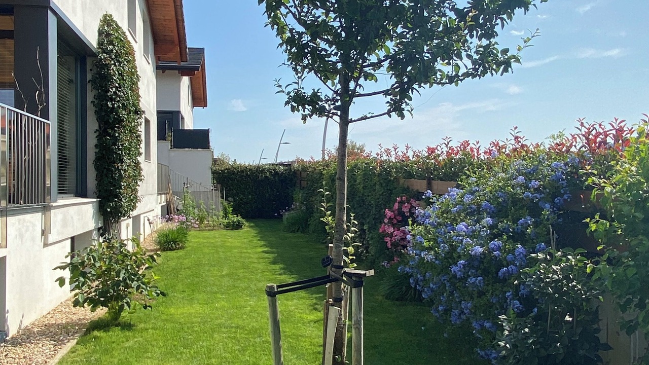 Photo of Outdoor in Sopelana