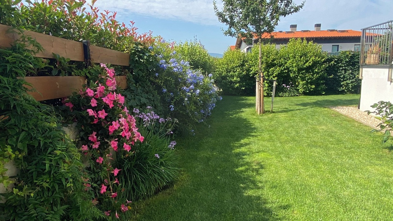 Photo of Outdoor in Sopelana