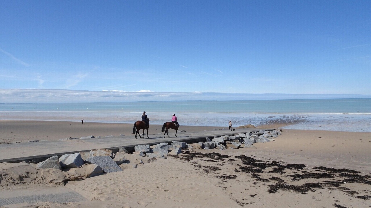 Photo of Others in Saint-Pair-sur-Mer