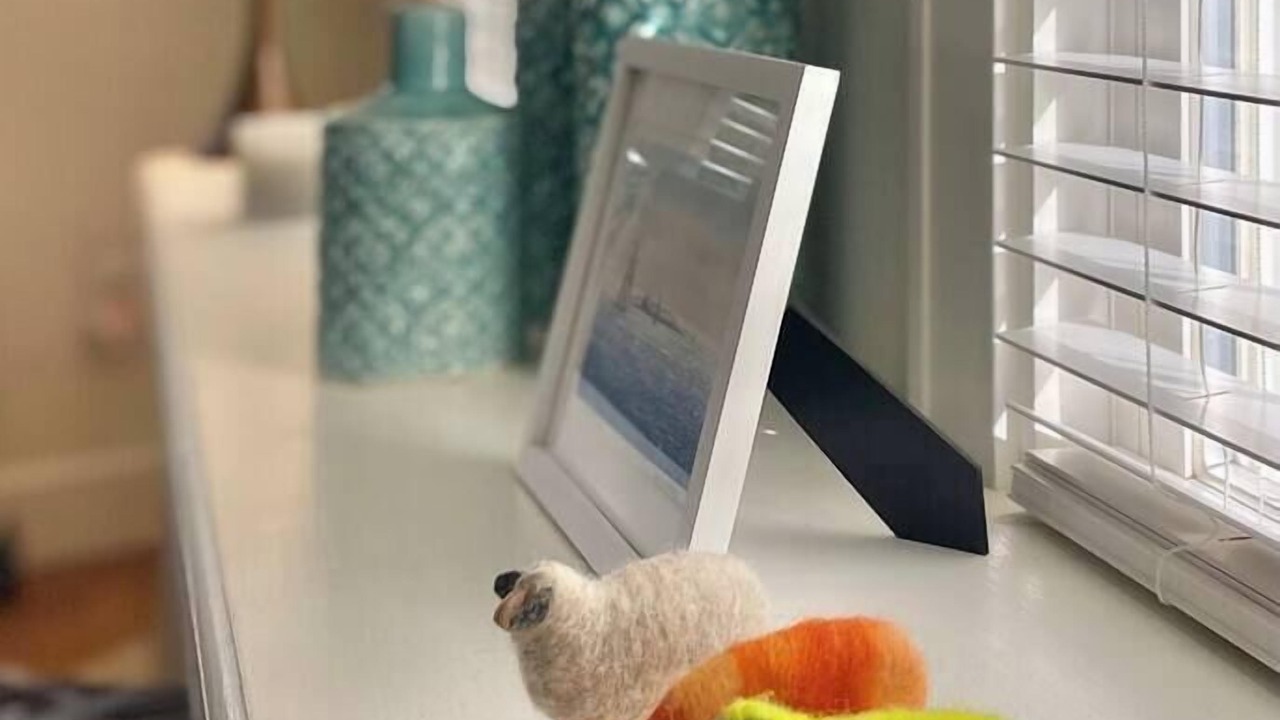 Photo of Others in East Boothbay