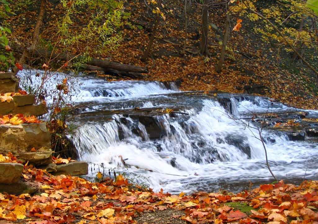 Photo of Others in Ithaca