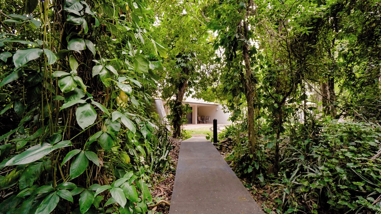 Photo of Outdoor in Goonellabah