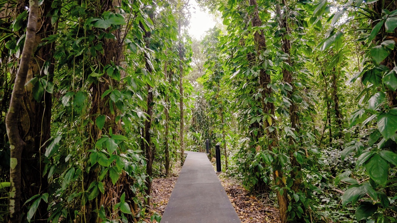 Photo of Outdoor in Goonellabah