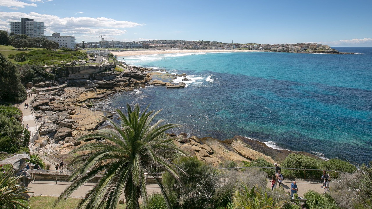 Photo of Others in Bondi