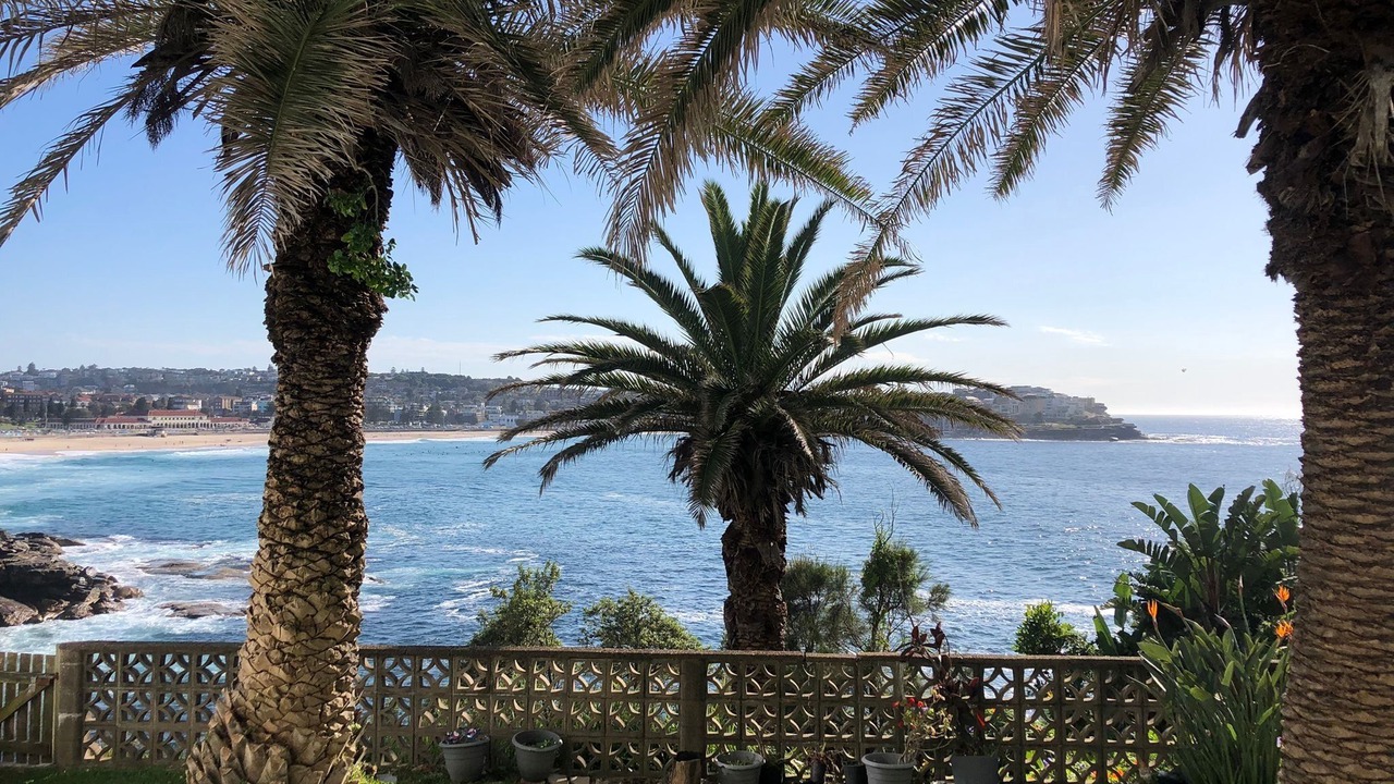 Photo of Others in Bondi