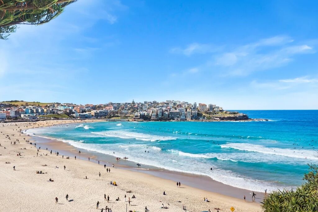 Photo of Others in Bondi