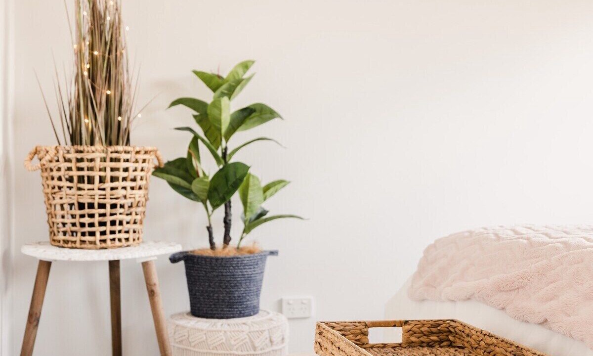 Photo of Others in Mermaid Waters