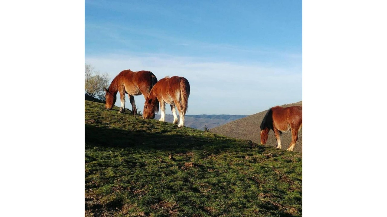 Photo of Others in Zaldierna