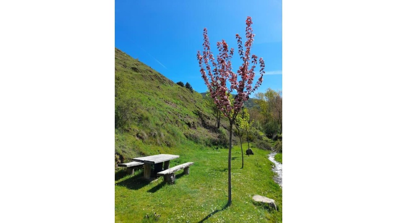 Photo of Outdoor in Zaldierna