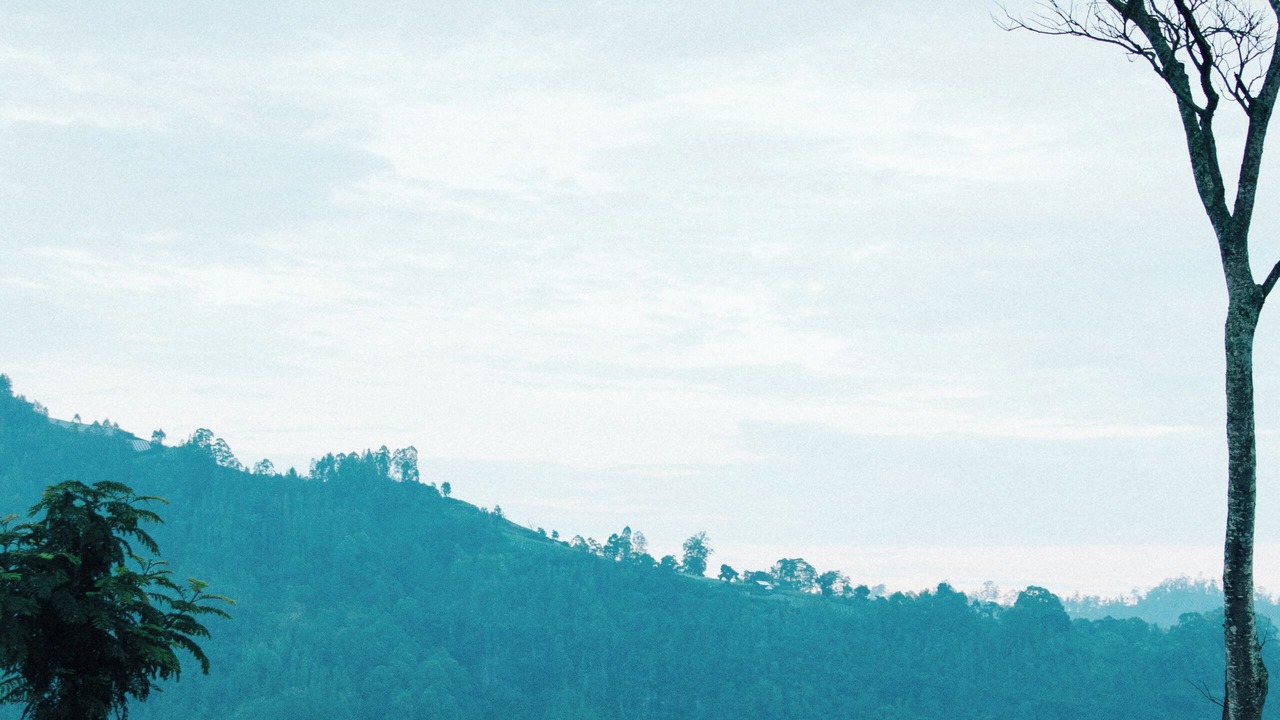 Photo of Outdoor in Toya Bungkah
